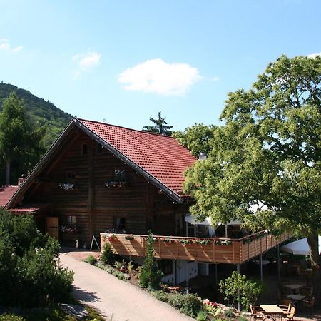 卡斯坦宁霍夫餐厅公寓 Dannenfels 外观 照片